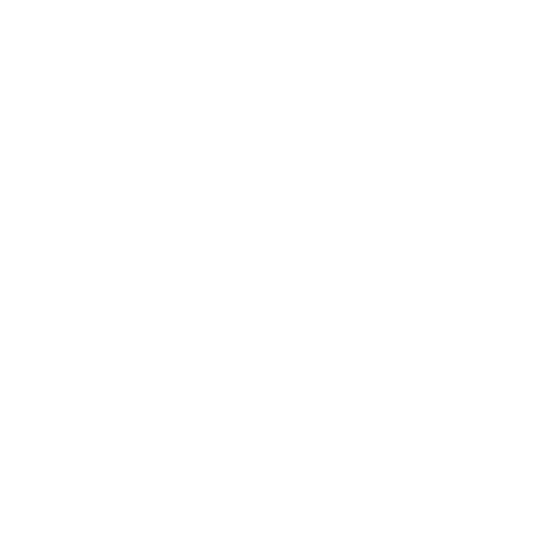 SoheilJamshidi Logo